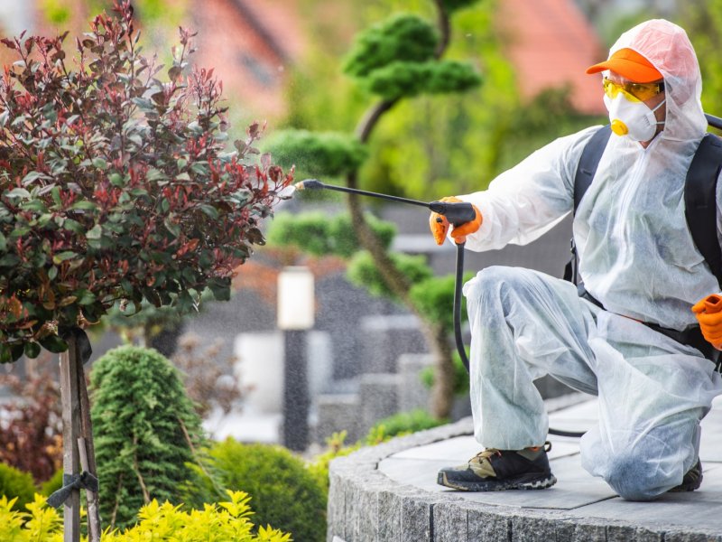 Dinar Haşere İlaçlama